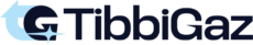 cropped logovers2.png